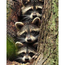Load image into Gallery viewer, Diamond Painting - Raccoons