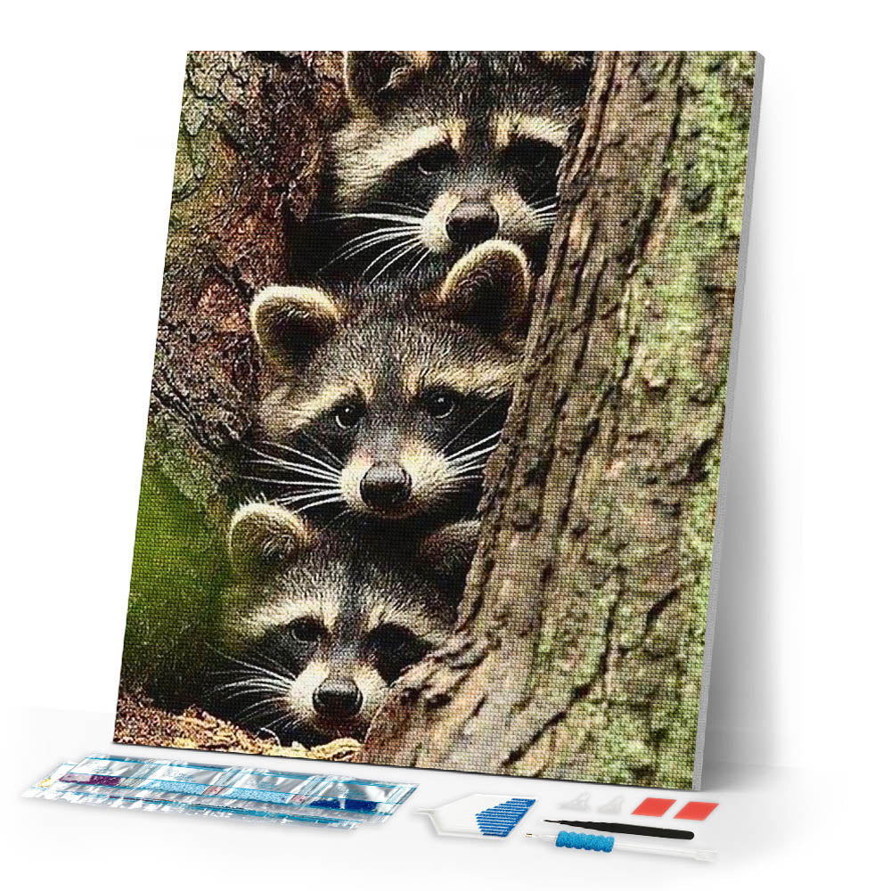 Diamond Painting | Diamond Painting - Raccoons | animals Diamond Painting Animals raccoons | FiguredArt