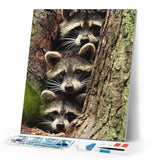 Diamond Painting | Diamond Painting - Raccoons | animals Diamond Painting Animals raccoons | FiguredArt