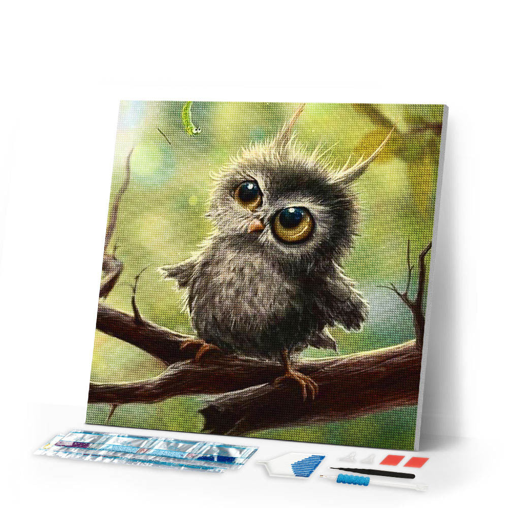 Diamond Painting | Diamond Painting - Little Owl | animals Diamond Painting Animals owls | FiguredArt