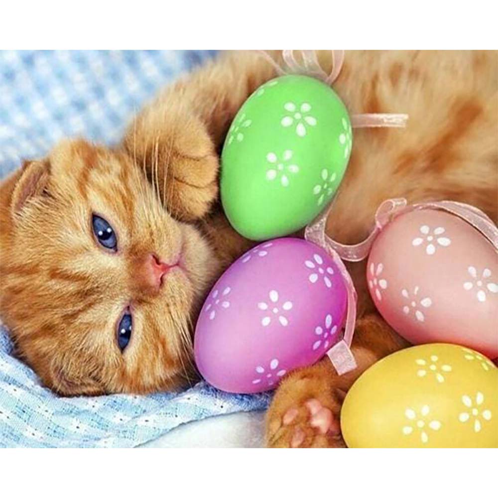 Diamond Painting - Cat and Eggs