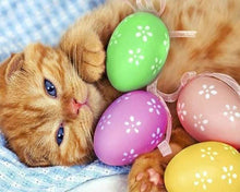 Load image into Gallery viewer, Diamond Painting | Diamond Painting - Cat and Eggs | animals cats Diamond Painting Animals | FiguredArt