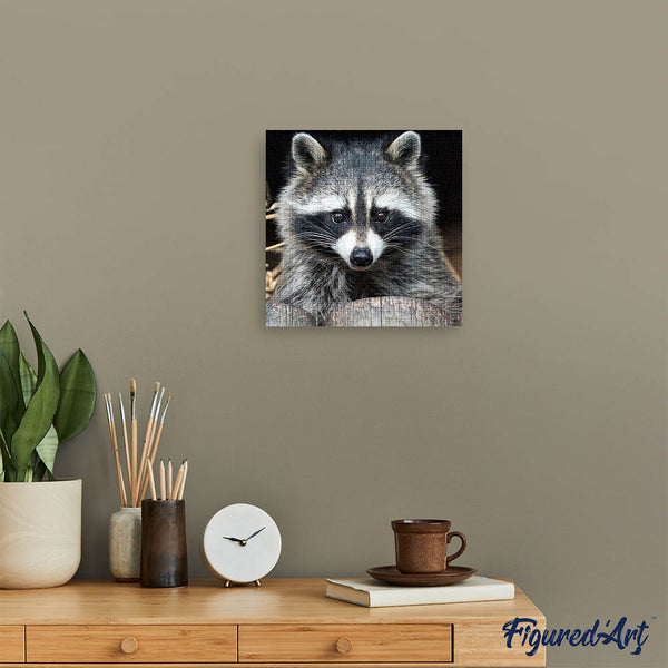 Diamond Painting - Pretty Raccoon