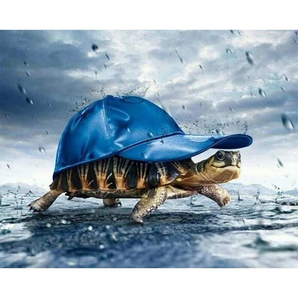 Diamond Painting - Turtle and Cap
