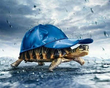 Load image into Gallery viewer, Diamond Painting | Diamond Painting - Turtle and Cap | animals Diamond Painting Animals turtles | FiguredArt