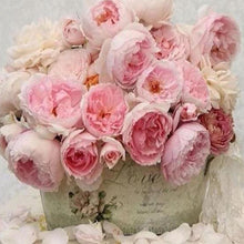 Load image into Gallery viewer, Diamond Painting | Diamond Painting - Life in Pink | Diamond Painting Flowers flowers | FiguredArt