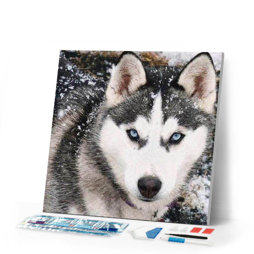 Diamond Painting | Diamond Painting - Wolf Face | animals Diamond Painting Animals rabbits wolves | FiguredArt
