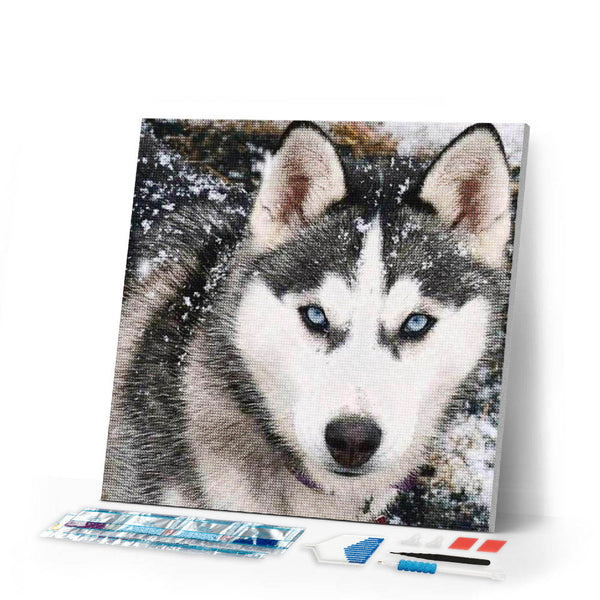 Diamond Painting | Diamond Painting - Wolf Face | animals Diamond Painting Animals rabbits wolves | FiguredArt
