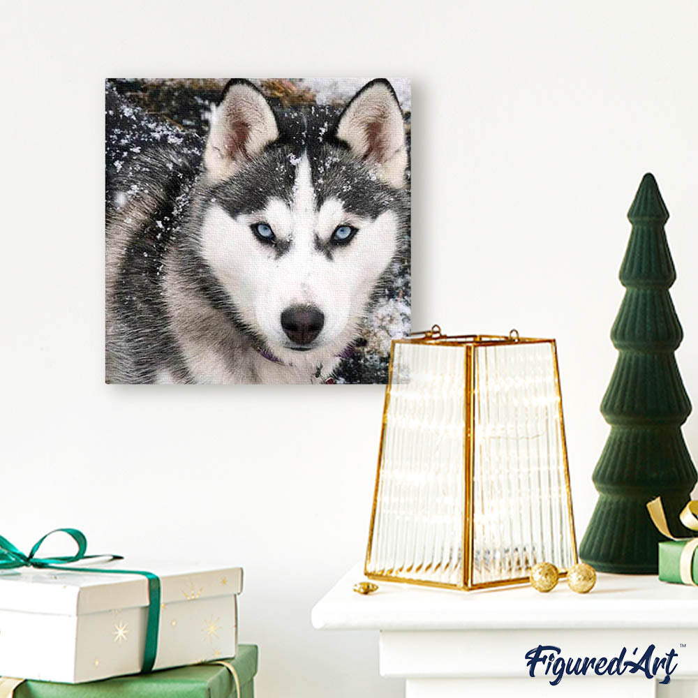 Diamond Painting - Wolf Face