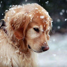 Load image into Gallery viewer, Diamond Painting | Diamond Painting - Dog in the Snow | animals Diamond Painting Animals dogs winter | FiguredArt