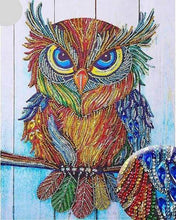 Load image into Gallery viewer, Diamond Painting - Owl and Rhinestones