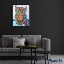 Load image into Gallery viewer, Diamond Painting - Owl and Rhinestones