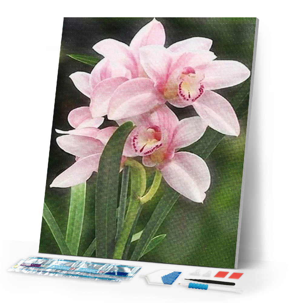 Diamond Painting | Diamond Painting - Beautiful Flower | Diamond Painting Flowers flowers | FiguredArt