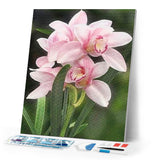 Diamond Painting | Diamond Painting - Beautiful Flower | Diamond Painting Flowers flowers | FiguredArt