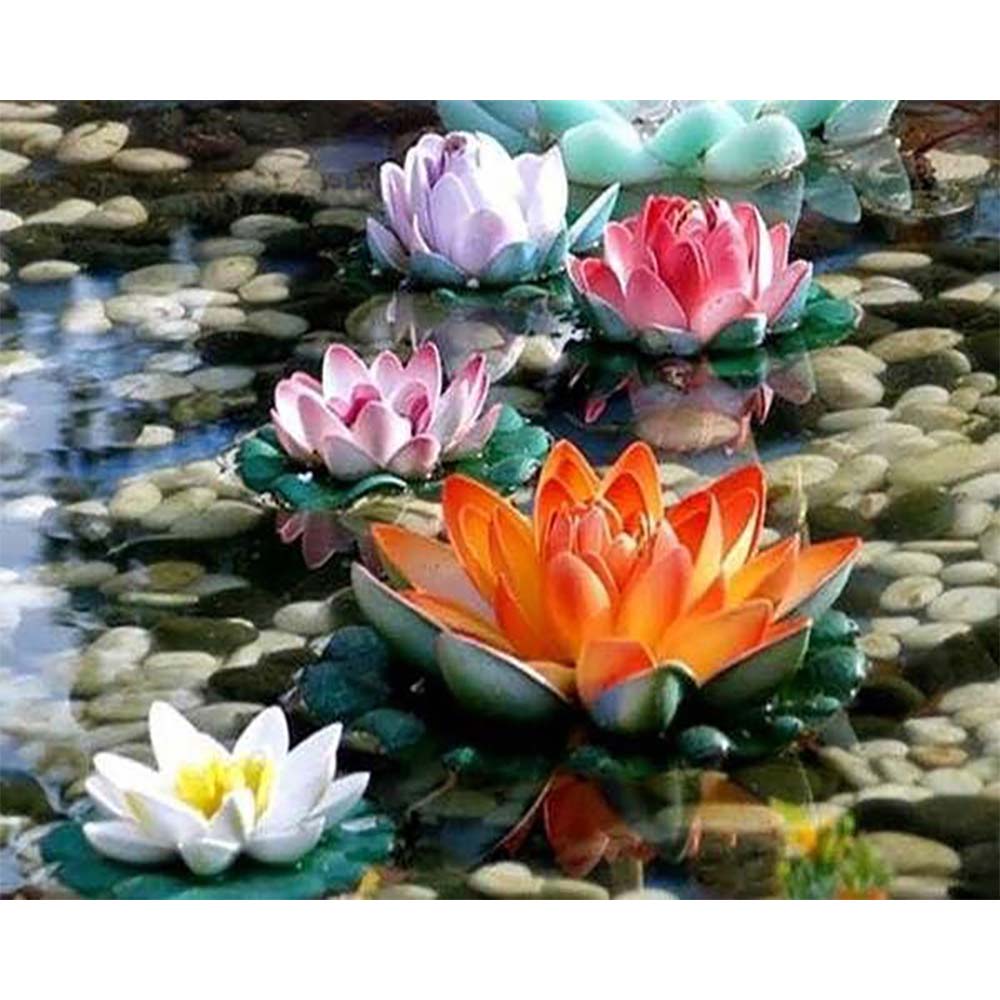 Diamond Painting - Water lilies in Color