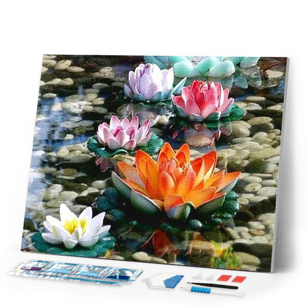 Diamond Painting | Diamond Painting - Water lilies in Color | Diamond Painting Flowers flowers | FiguredArt