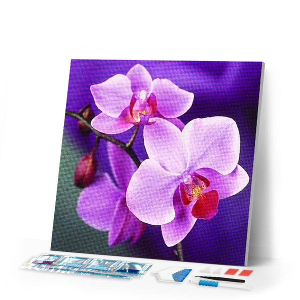 Diamond Painting | Diamond Painting - Purple Flower | Diamond Painting Flowers flowers | FiguredArt