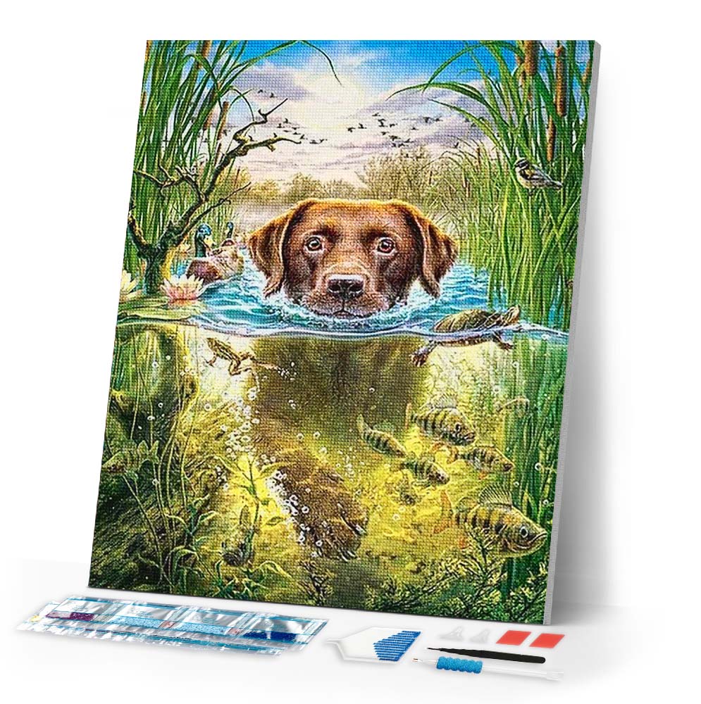 Diamond Painting | Diamond Painting - Dog in the stream | animals Diamond Painting Animals dogs | FiguredArt