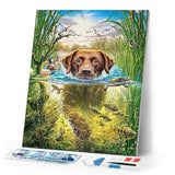 Diamond Painting | Diamond Painting - Dog in the stream | animals Diamond Painting Animals dogs | FiguredArt