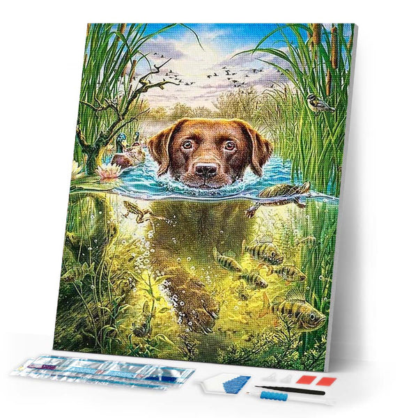 Diamond Painting | Diamond Painting - Dog in the stream | animals Diamond Painting Animals dogs | FiguredArt