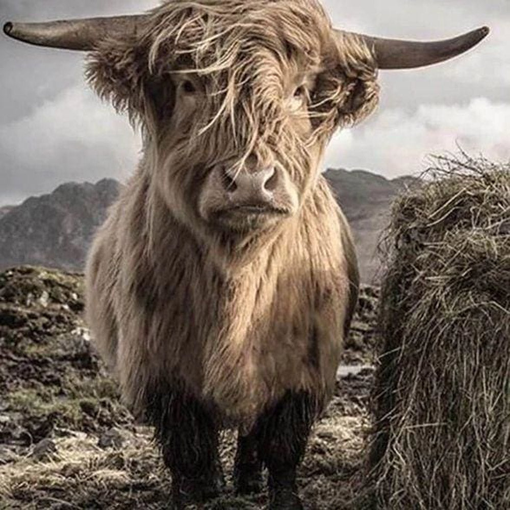 Diamond Painting - Yak