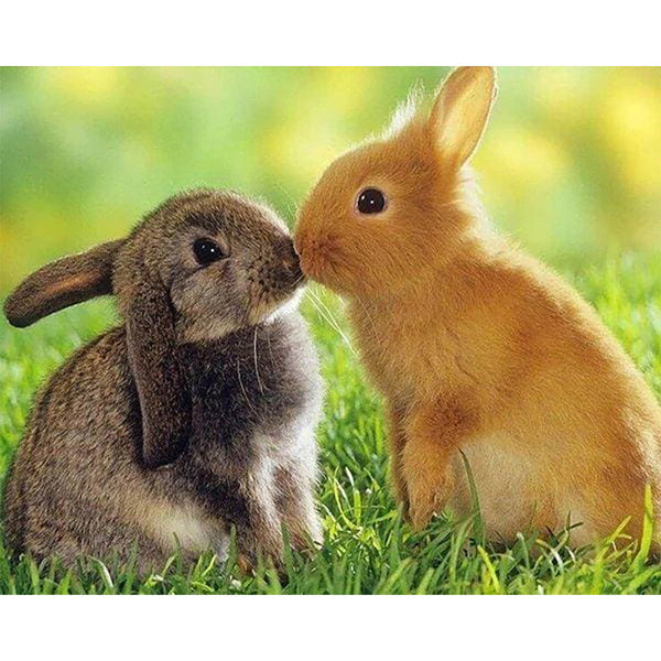 Diamond Painting - Rabbits Couple