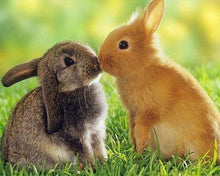 Load image into Gallery viewer, Diamond Painting | Diamond Painting - Rabbits Couple | animals Diamond Painting Animals rabbits | FiguredArt