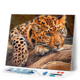 Diamond Painting | Diamond Painting - Panther | animals Diamond Painting Animals panthers | FiguredArt