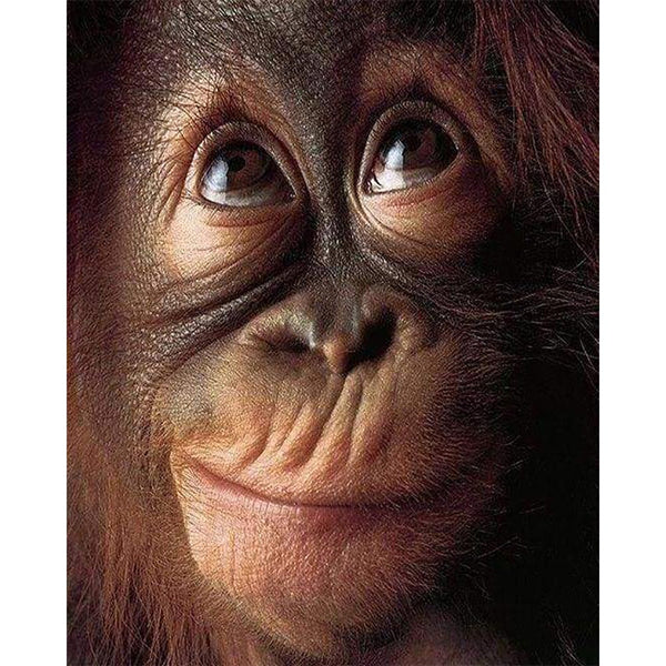 Diamond Painting - Little Monkey