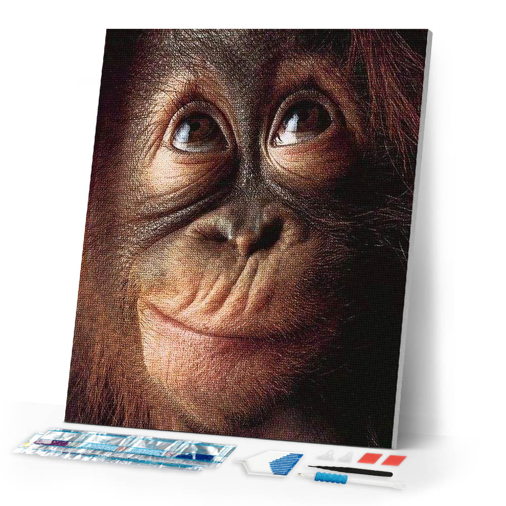 Diamond Painting | Diamond Painting - Little Monkey | animals Diamond Painting Animals monkeys | FiguredArt