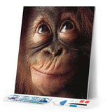 Diamond Painting | Diamond Painting - Little Monkey | animals Diamond Painting Animals monkeys | FiguredArt