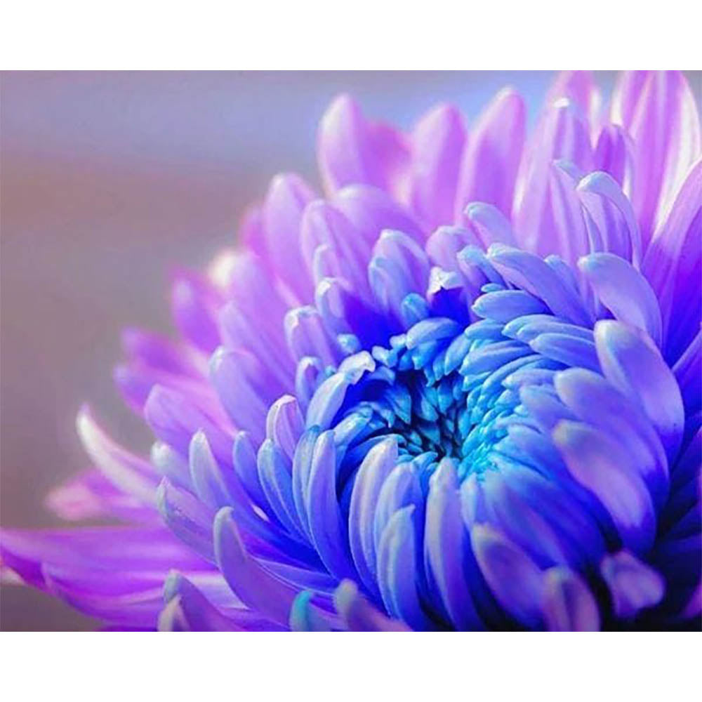 Diamond Painting - Flower Blossom
