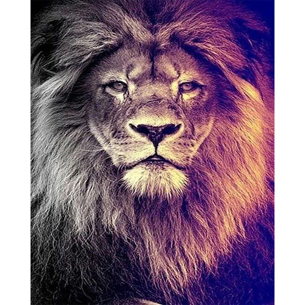 Diamond Painting - Grand Lion Portrait