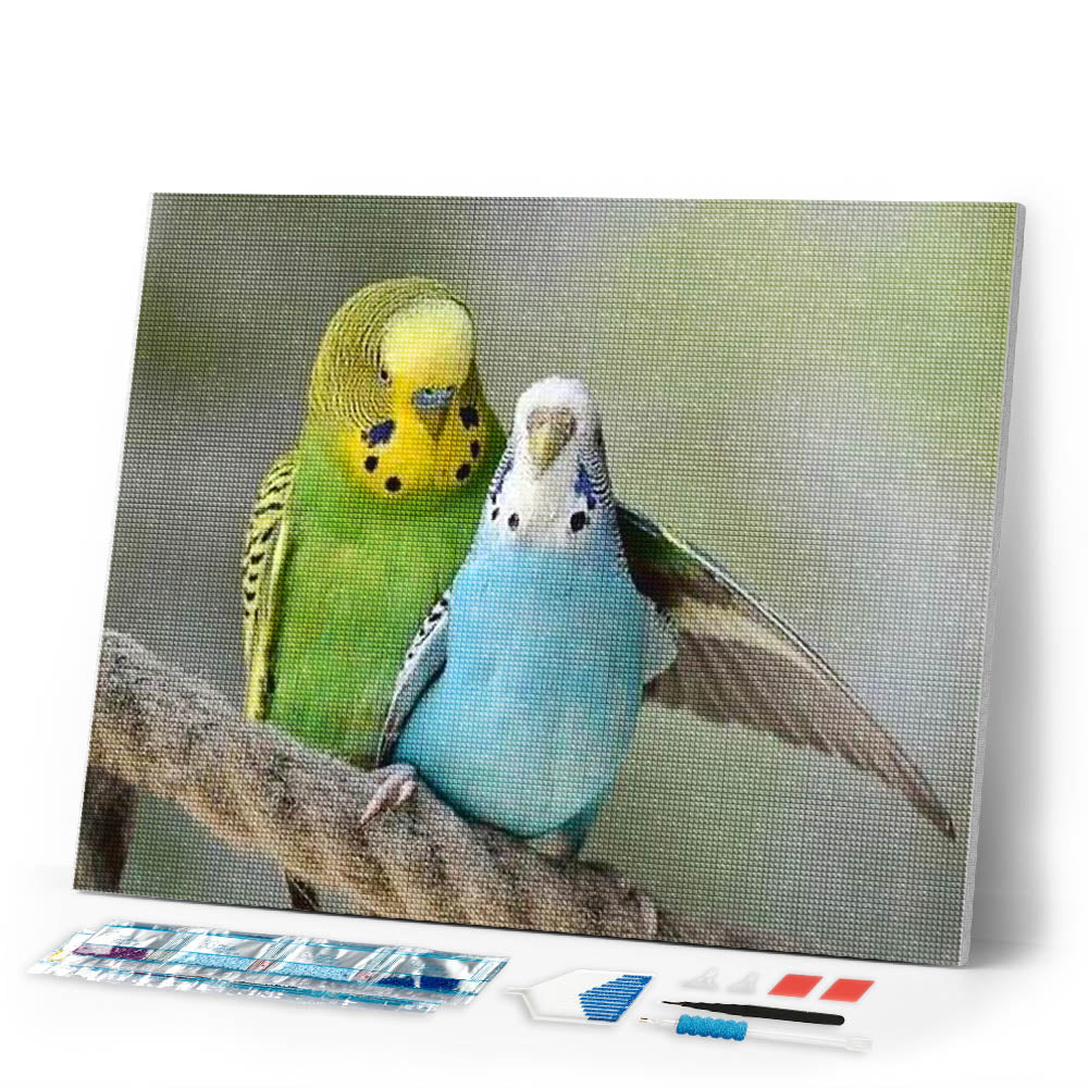 Diamond Painting | Diamond Painting - Parakeets | animals Diamond Painting Animals | FiguredArt