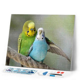 Diamond Painting | Diamond Painting - Parakeets | animals Diamond Painting Animals | FiguredArt