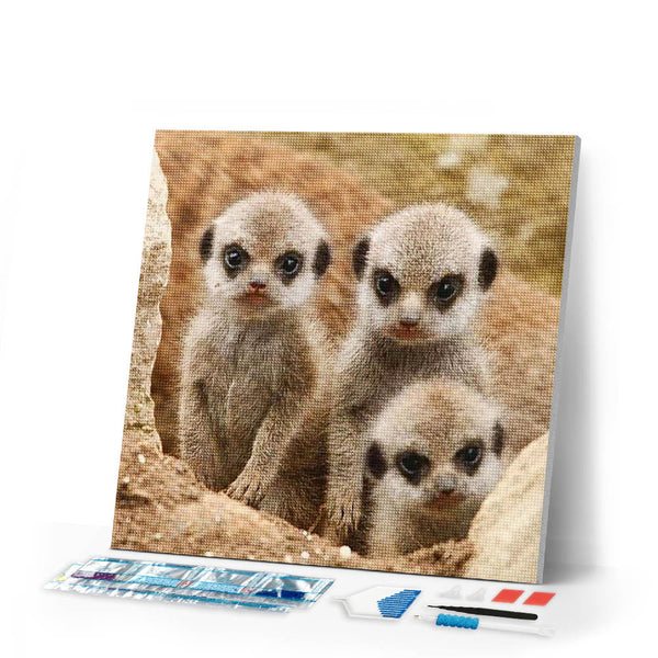 Diamond Painting | Diamond Painting - Little Monkeys | animals Diamond Painting Animals monkeys | FiguredArt