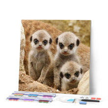 Load image into Gallery viewer, Diamond Painting - Little Monkeys