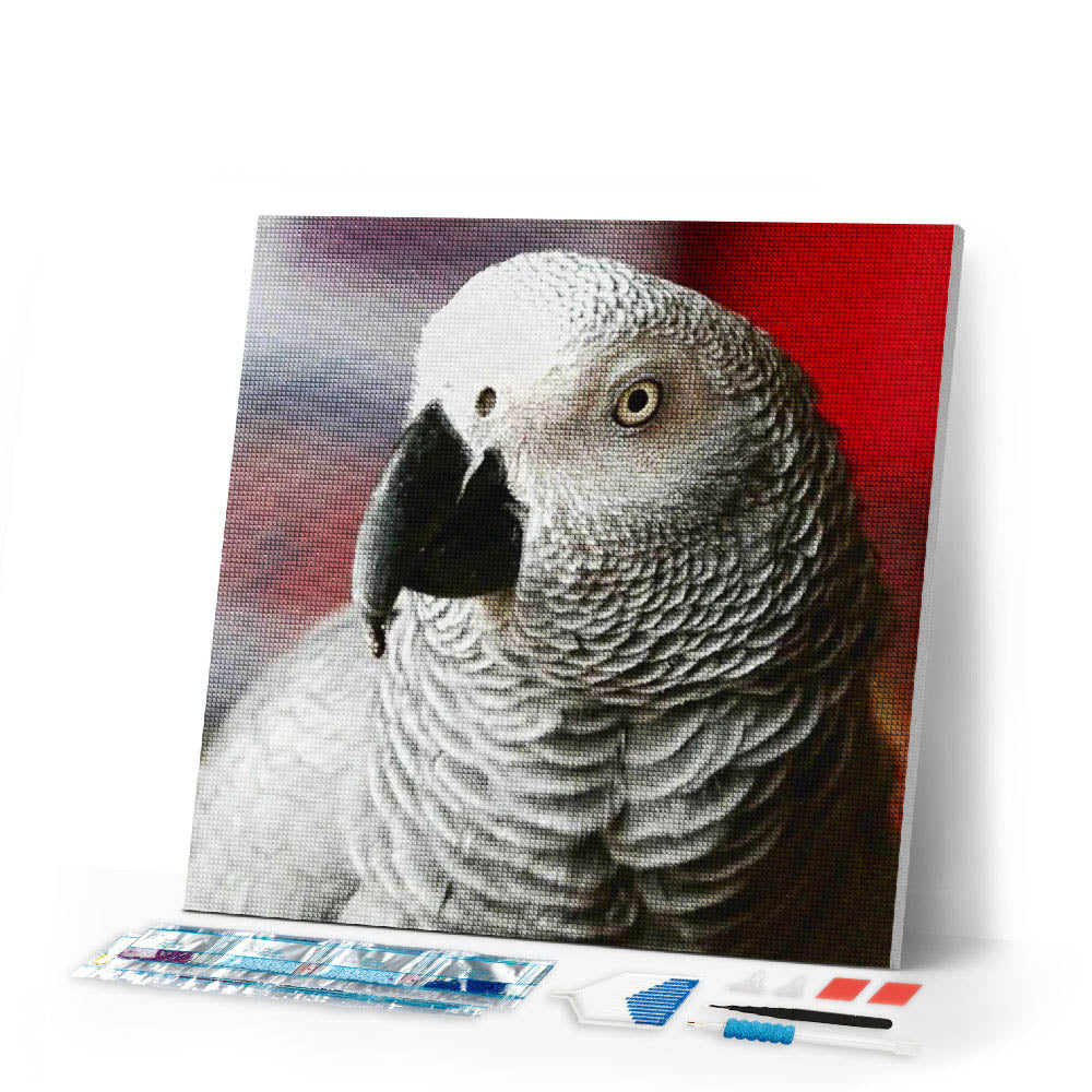 Diamond Painting | Diamond Painting - White Bird | animals birds Diamond Painting Animals | FiguredArt