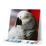 Diamond Painting | Diamond Painting - White Bird | animals birds Diamond Painting Animals | FiguredArt