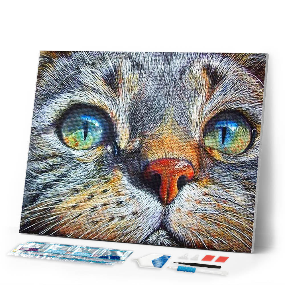 Diamond Painting | Diamond Painting - Cat Face | animals cats Diamond Painting Animals | FiguredArt
