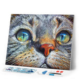 Diamond Painting | Diamond Painting - Cat Face | animals cats Diamond Painting Animals | FiguredArt