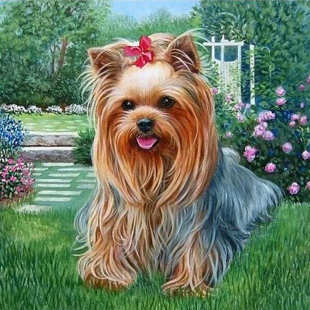Diamond Painting - Bichon Maltese Dog