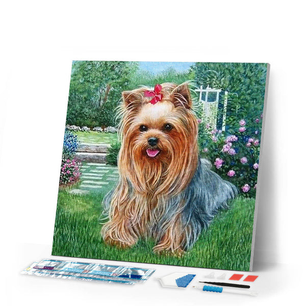Diamond Painting | Diamond Painting - Bichon Maltese Dog | animals Diamond Painting Animals dogs | FiguredArt