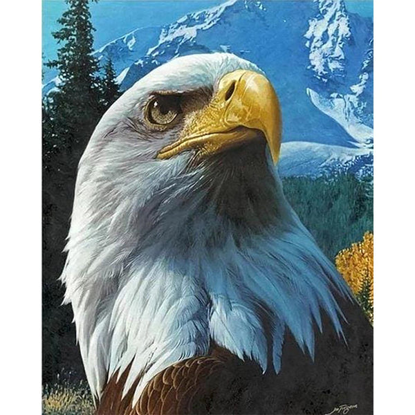 Diamond Painting - Eagle and Mountain