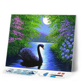 Diamond Painting | Diamond Painting - Swan | animals birds Diamond Painting Animals swans | FiguredArt