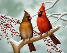 Load image into Gallery viewer, Diamond Painting | Diamond Painting - Little Tropical Birds | animals birds Diamond Painting Animals | FiguredArt