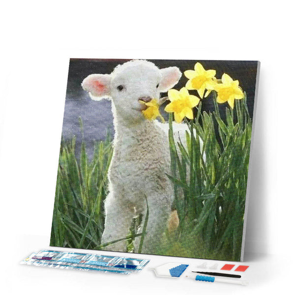 Diamond Painting | Diamond Painting - Sheep and Flowers | animals Diamond Painting Animals flowers | FiguredArt