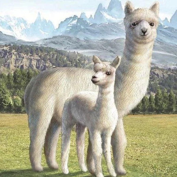 Diamond Painting - Lama