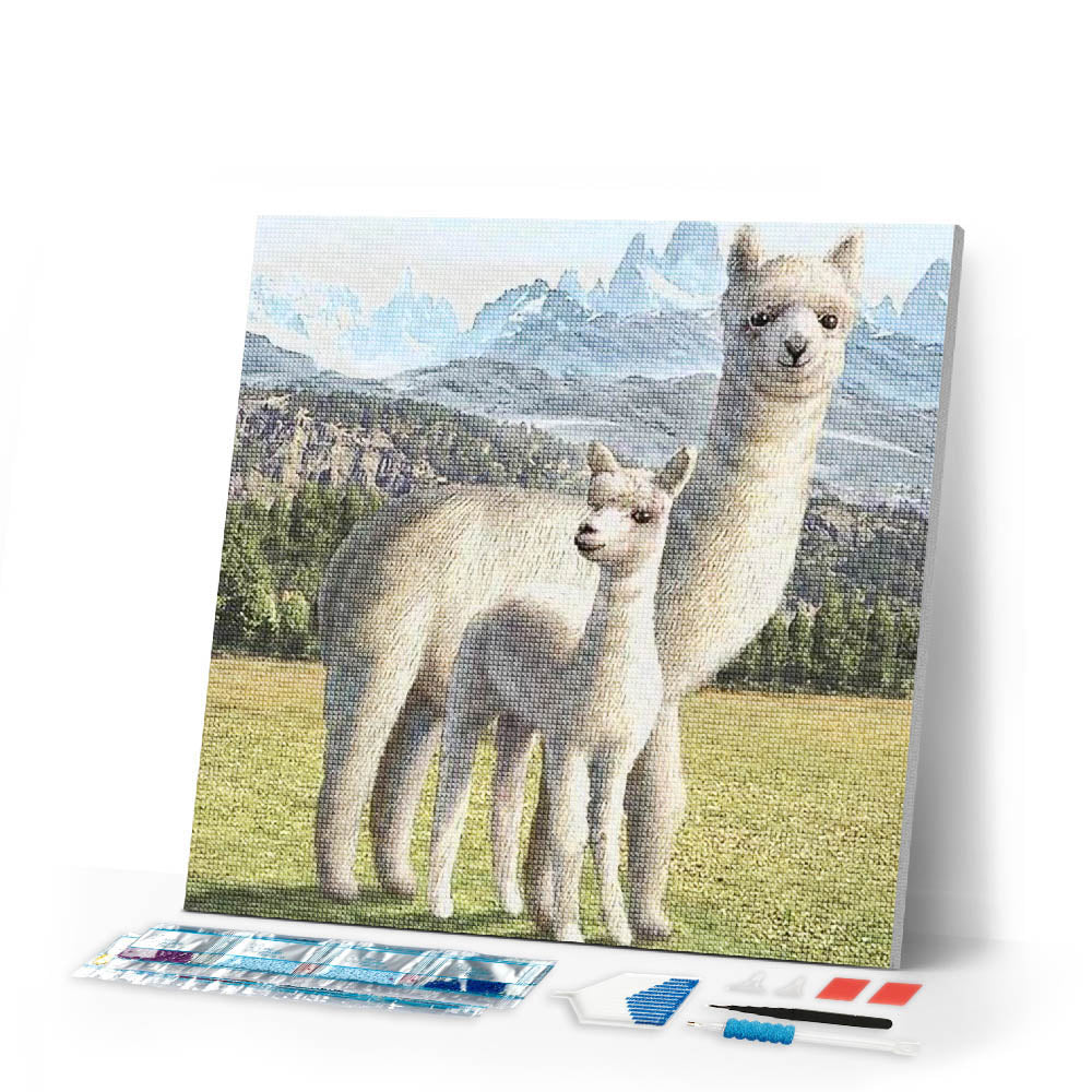 Diamond Painting | Diamond Painting - Lama | animals Diamond Painting Animals | FiguredArt