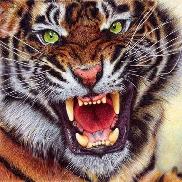 Diamond Painting - Tiger Teeth